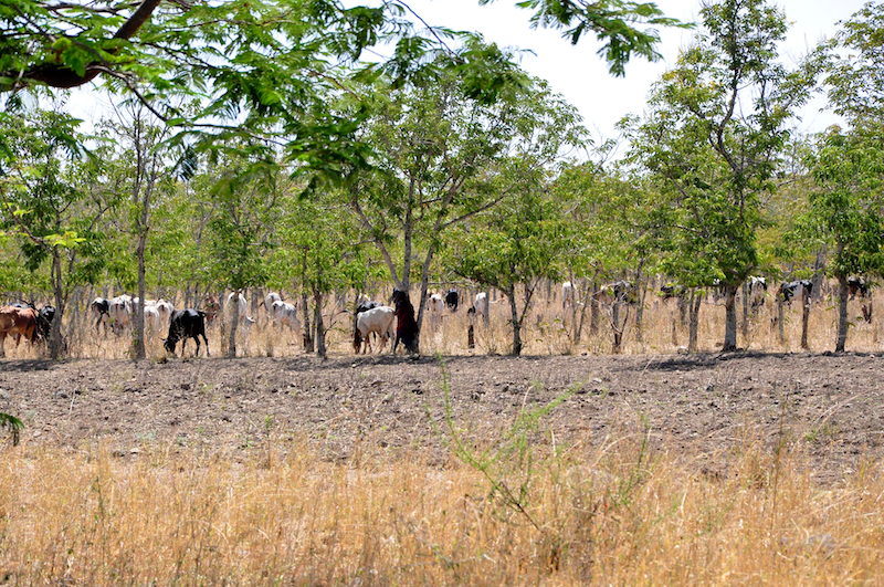 Melanie Heinrich - Travel Images - Nairobi Kenya -Arusha, Tanzania